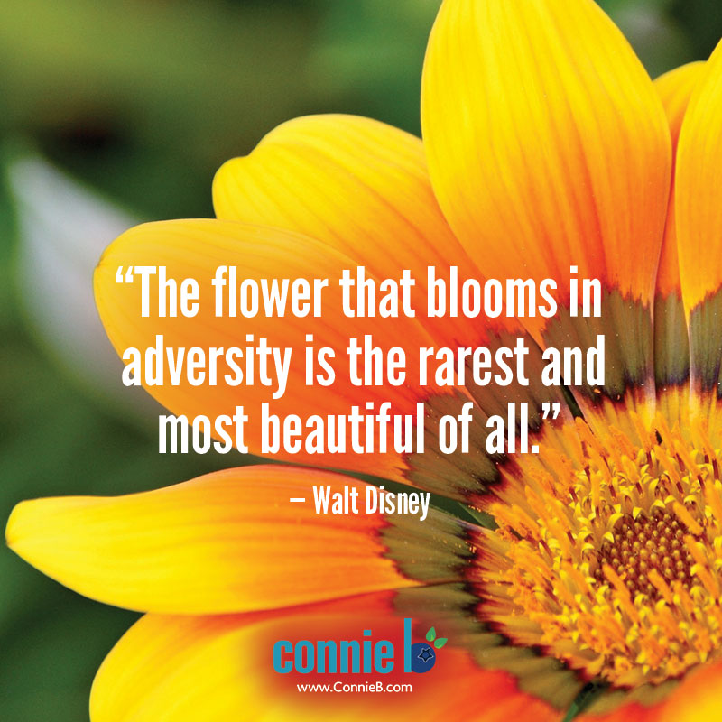 Blooms in adversity